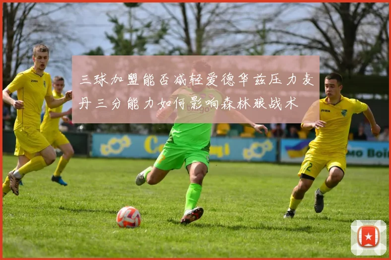 三球加盟能否减轻爱德华兹压力麦丹三分能力如何影响森林狼战术